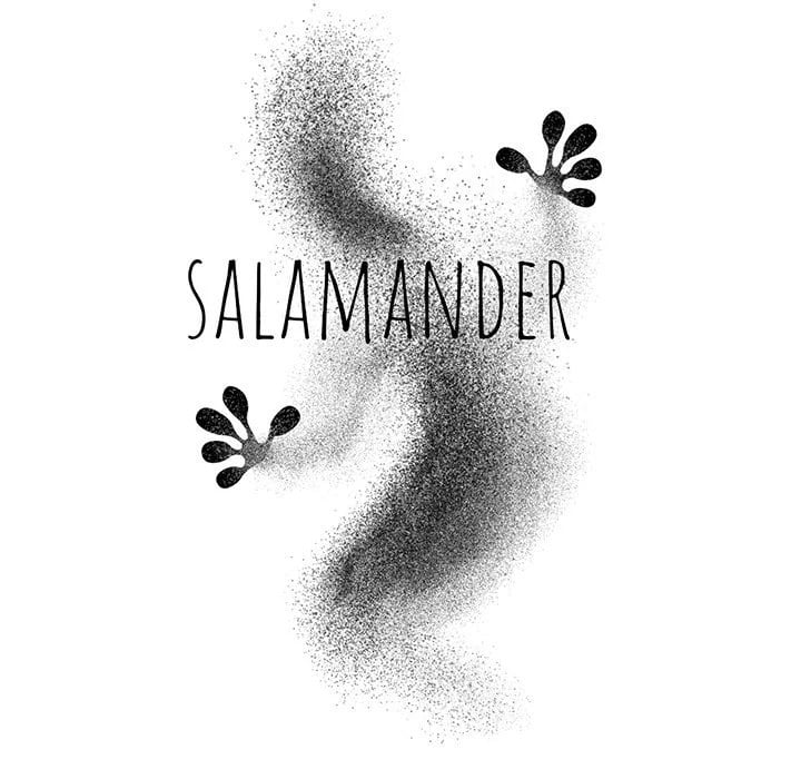 Salamander - Chapter 17 45