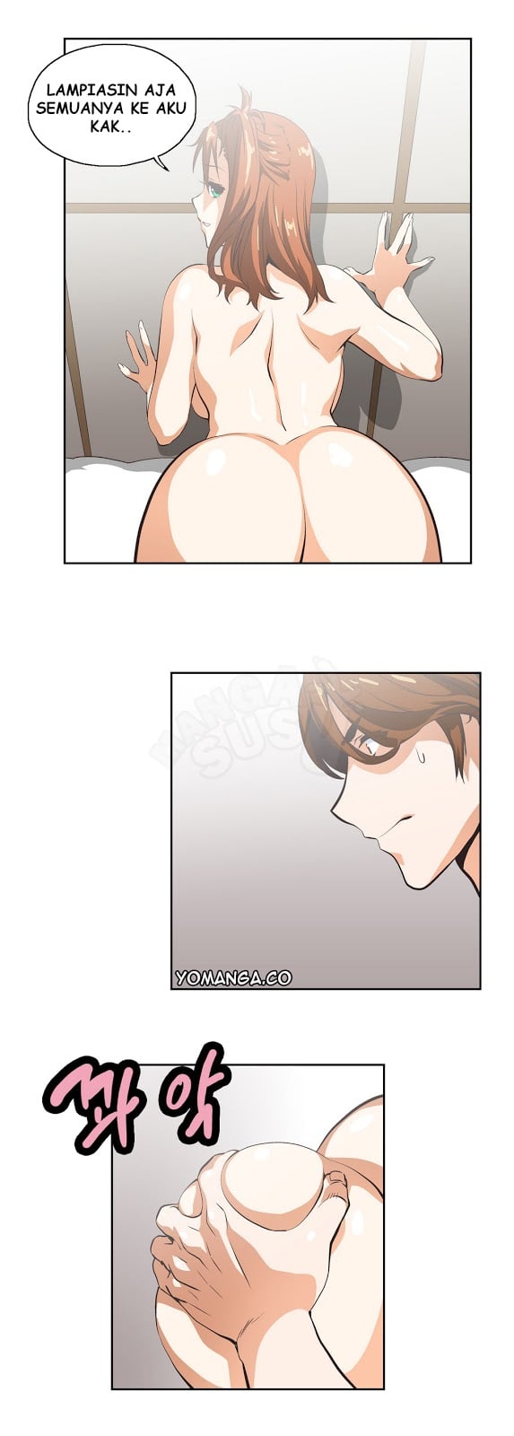 SStudy - Chapter 11 13