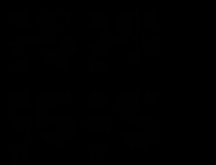 Resume - Chapter 45 16